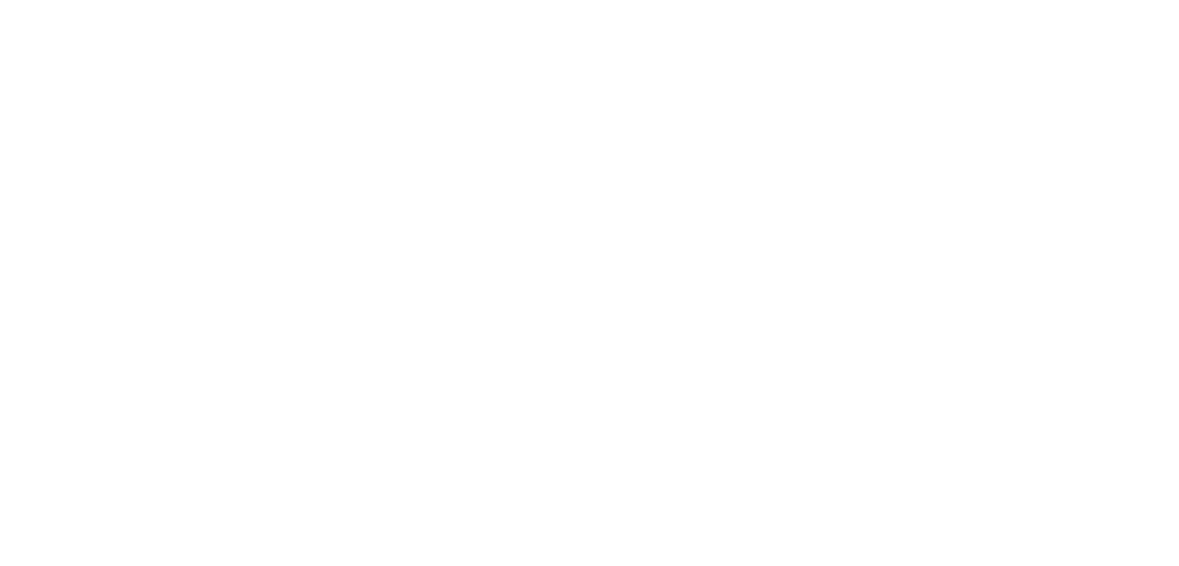Logo Item
