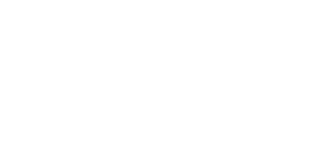 Logo Item