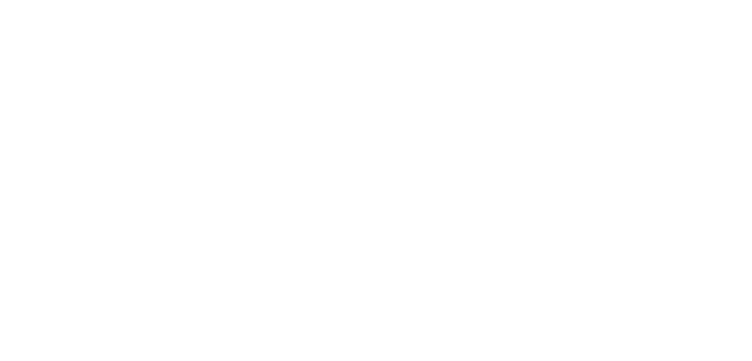 Logo Item